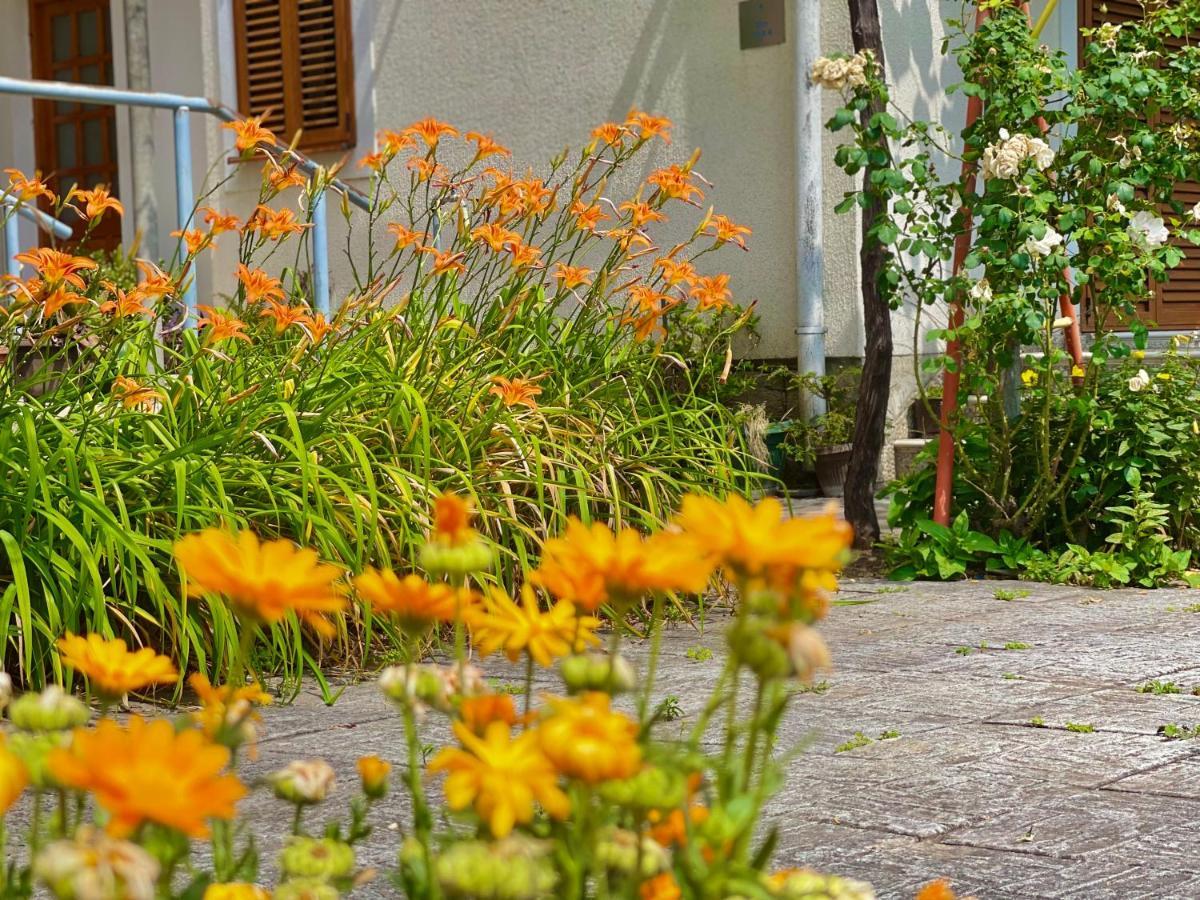 Garden House Budva Extérieur photo